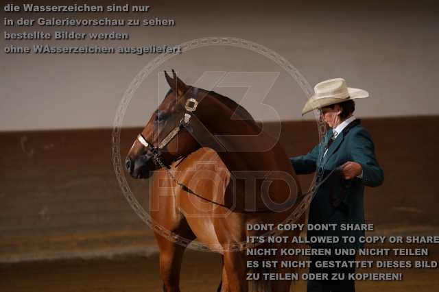 s_DSC00775.JPG